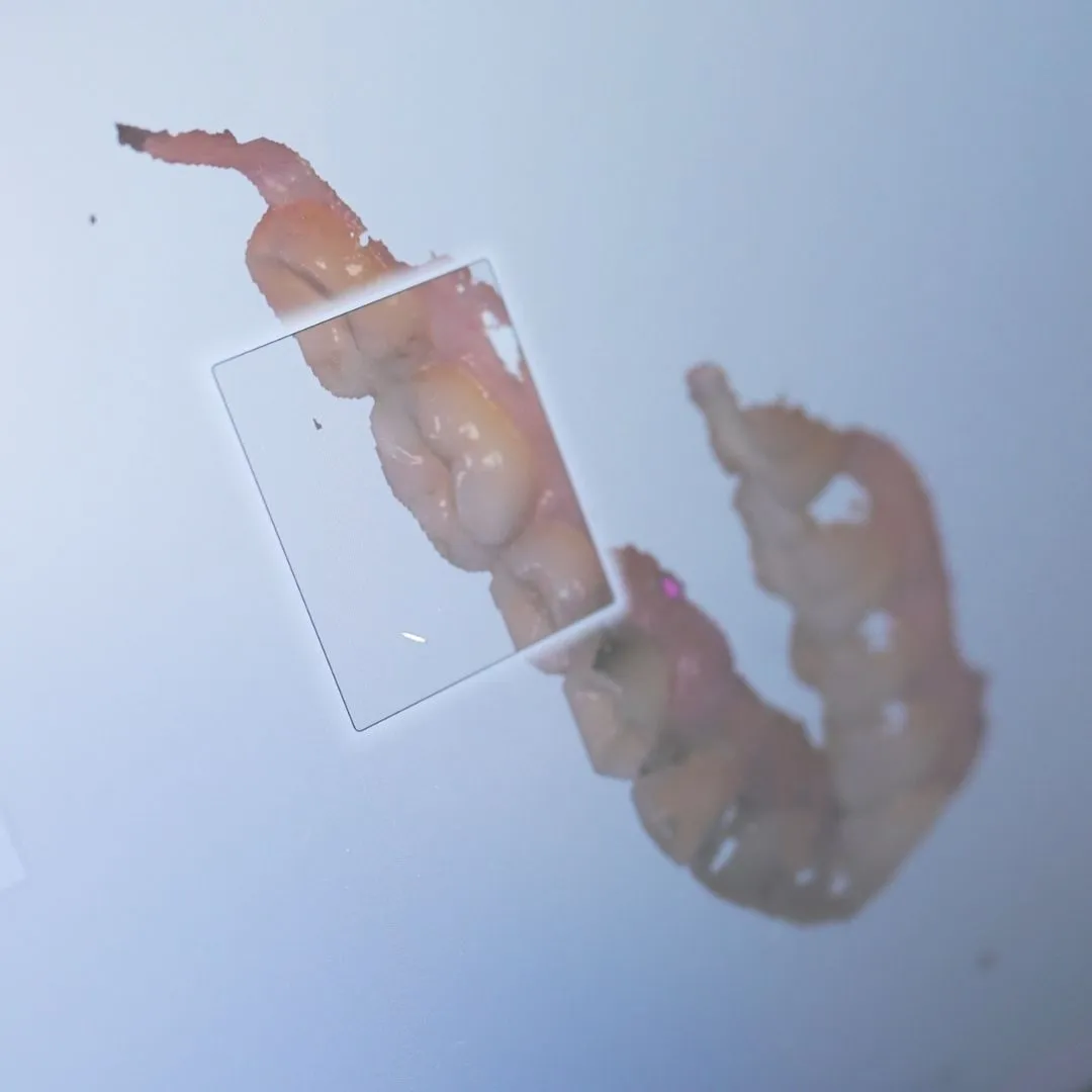 dental clinic in Al Barsha Dubai - dental clinic in Arabian Ranches Dubai